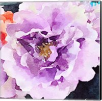 Framed Purple Flower