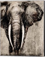 Framed Elephant on Newspaper