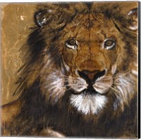 Framed Lion on Gold