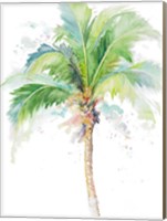 Framed Watercolor Coconut Palm