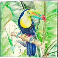 Framed Colorful Toucan