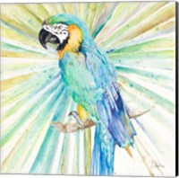 Framed Bright Tropical Parrot