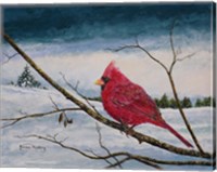 Framed Cardinal In A Pastel Sky