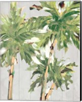 Framed Caribbean Palm Trees