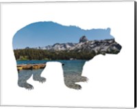 Framed Lake Scenery Bear