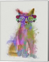 Framed Cat Rainbow Splash 5