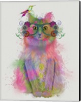 Framed Cat Rainbow Splash 8