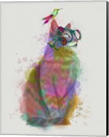 Framed Cat Rainbow Splash 11