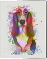 Framed Basset Hound Rainbow Splash