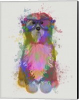 Framed Tibetan Terrier Rainbow Splash