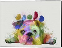 Framed English Bulldog and Birds, Rainbow Splash
