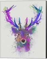 Framed Deer Head 1 Rainbow Splash Pink and Purple