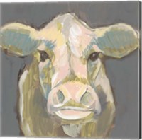 Framed 'Blush Faced Cow I' border=