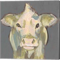 Framed 'Blush Faced Cow II' border=