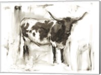 Framed Longhorn Study I