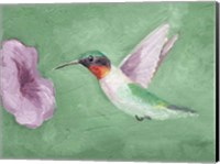 Framed Fresco Hummingbird II