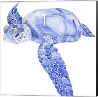 Framed 'Ultramarine Sea Turtle I' border=