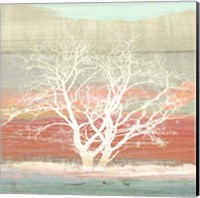Framed 'Treescape #1 (detail)' border=
