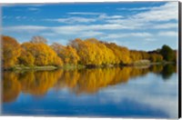 Framed Autumn Colour And Clutha River At Kaitangata, South Island, New Zealand