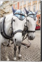 Framed Czech Republic Horses On Cobblestone Karlovy Vary Street