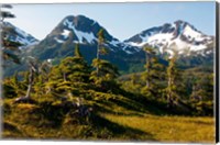 Framed Mount Eccles Near Cordova, Alaska