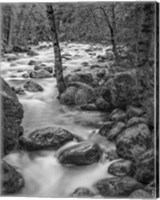 Framed Yosemite Happy Isles, California (BW)