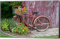 Framed Old Bicycle With Flower Basket, Marion County, Illinois