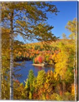 Framed Wyman Lake In Autumn, Maine