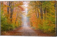 Framed Autumn Road In Schoolcraft County, Michigan