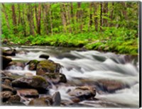 Framed Water Flows At Straight Fork, North Carolina