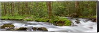 Framed Panoramic Of Straight Fork Creek In Spring, North Carolina