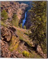 Framed Deschutes Canyon Landscape, Oregon