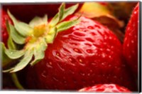 Framed Close-Up Of Fresh Strawberry
