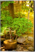 Framed Japanese Garden, Dundee, Oregon