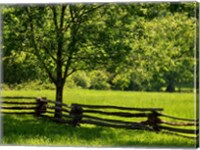 Framed Old Wooden Fence In Cades Cove