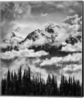 Framed Mount Carrie And Carrie Glacier, Washington (BW)