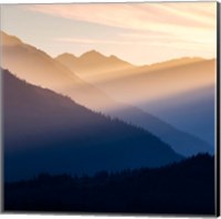 Framed Sunset In The Olympic National Forest