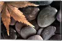 Framed Zen Maple Leaf On Rocks