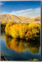 Framed Autumn Color Along The Yakima River