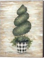 Framed Gingham Topiary Spiral