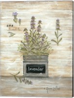 Framed Lavender Botanical