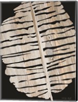 Framed Palm Frond Wood Grain II