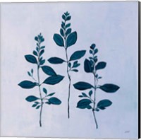 Framed Botanical Study IV Blue