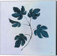 Framed Botanical Study III Blue