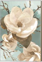 Framed Magnolia II