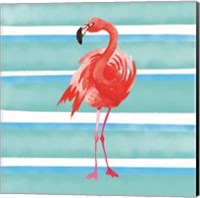 Framed 'Tropical Life Flamingo III' border=