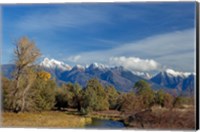 Framed Mission Mountains