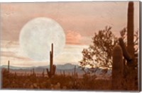 Framed Desert Twilight