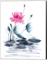 Framed Pink Flower and a Lily Pad