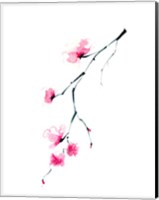 Framed Cherry Blossom II